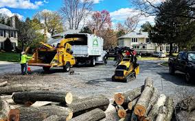 How Our Tree Care Process Works  in Indian Rocks Beach, FL